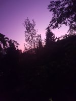20170830_194328.jpg