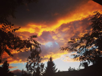20191128_070728.png