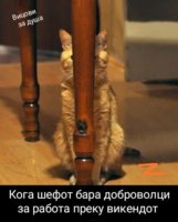 89C415F3-C0DD-4E2B-B87C-1EDCE20A9A81.jpeg