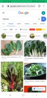 Screenshot_20191204-195738_Chrome.jpg