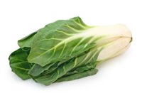 20100719_public_shutterstock__Di002401935_1000x0.jpg