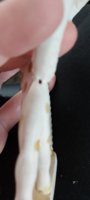 20191206_081009.jpg