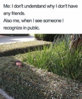 FB_IMG_1575722728824.jpg