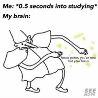 9B3D69A2-8539-47C4-92B9-A637A7B288F5.jpeg