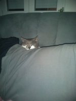 IMG_20191208_200613559.jpg