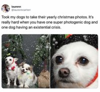 FB_IMG_1575981782426.jpg