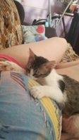 IMG_20190820_154722.jpg