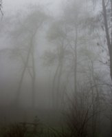 20191215_100731.jpg