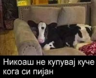 FB_IMG_1576253235933.jpg