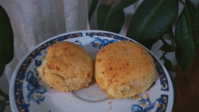 Polish_20191215_161910268.jpg