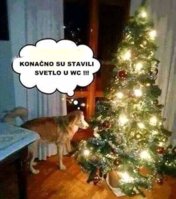 FB_IMG_1576417296737.jpg