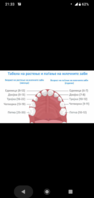 Screenshot_20191114-213326.png