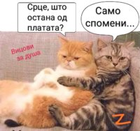 E4E600A0-1B9D-48EC-B5ED-FB3490BA1279.jpeg