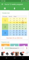 Screenshot_20191219-165005_Pregnancy.jpg