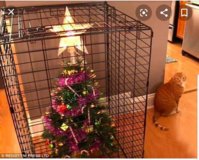 SmartSelect_20191220-000740_Chrome.jpg