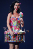 katy-perry-circus-dress-26575926897_xlarge.png