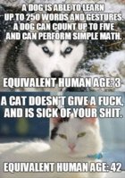 FB_IMG_1576418154809.jpg