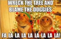 FB_IMG_1576744771148.jpg