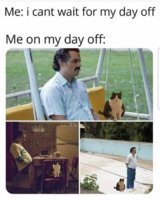 FB_IMG_1576773749292.jpg