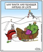FB_IMG_1577022667582.jpg