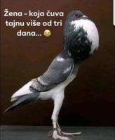 FB_IMG_1575817408935.jpg