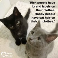 FB_IMG_1575957451575.jpg