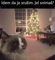 FB_IMG_1577304860732.jpg