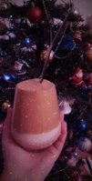 IMG_20191229_212851_302.jpg