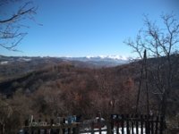 IMG_20191231_122359986.jpg