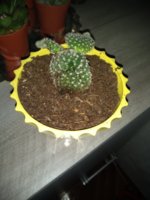 IMG_20200103_210231052.jpg