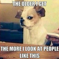 FB_IMG_1578092321569.jpg
