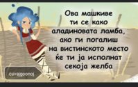 8B075387-B9FC-49AB-9F7D-CCDAF226E42C.jpeg