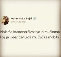 CF1A5BFE-8F86-4D3B-8BFA-CF72F92C88C5.jpeg