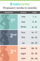 xUS_asset_trimesters_525px_2019-04-04.png.pagespeed.ic.d7UMqZX469.png