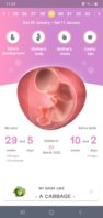 Screenshot_20200110-114221_Pregnancy Calendar.jpg
