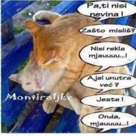 FB_IMG_1579557562657.jpg
