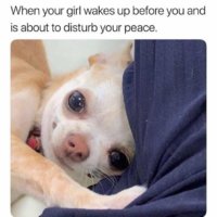 FB_IMG_1580253627836.jpg