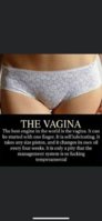 vagina.jpg