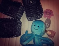 IMG_20200130_172903.jpg