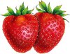 strawberries-615.jpeg