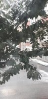 20200208_092203.jpg