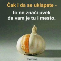 FB_IMG_1581858262690.jpg