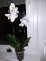 20200301_183428.jpg