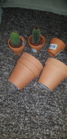 20200301_191534.jpg