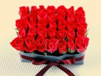 tumblr_lex320Nt6s1qf7ikto1_500_large-1.jpg