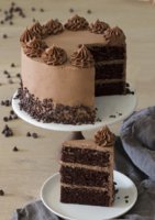 Ultimate-Chocolate-Cake-Feature-new.jpg