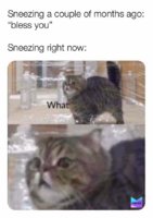 FB_IMG_1584133603317.jpg