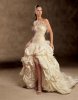 pronoviasBORNEO-B.jpg