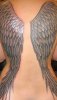 angel-wing-tattoos1.jpg