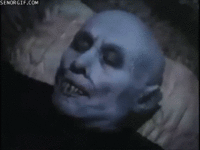 giphy.gif
